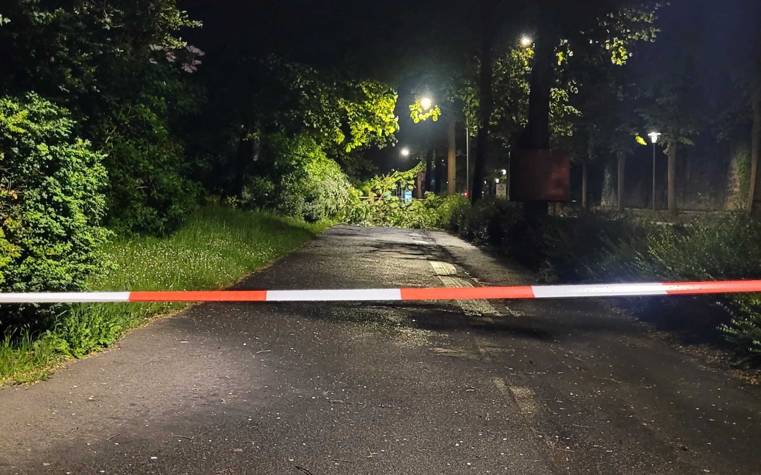 Würzburg: Stadt warnt vor stürmischem Wetter