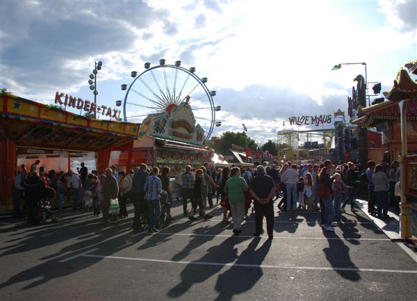 Frühlingserwachen  in Würzburg