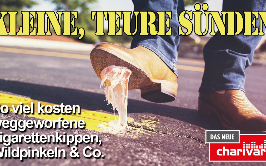 Kleine, teure Sünden