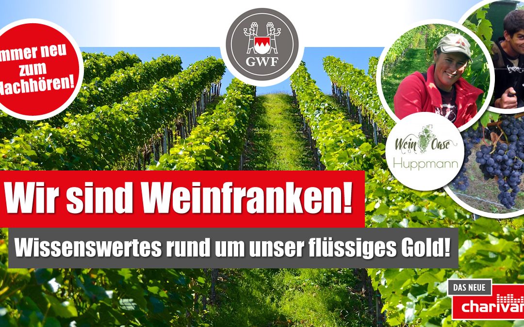 Wir sind Weinfranken! Hier findet ihr Wissenswertes rund um unser flüssiges Gold!
