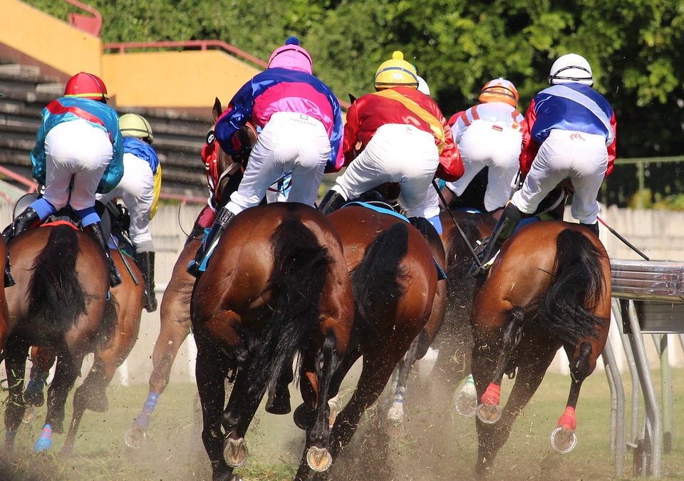 Sportwetten: Die richtige Quote ist entscheidend