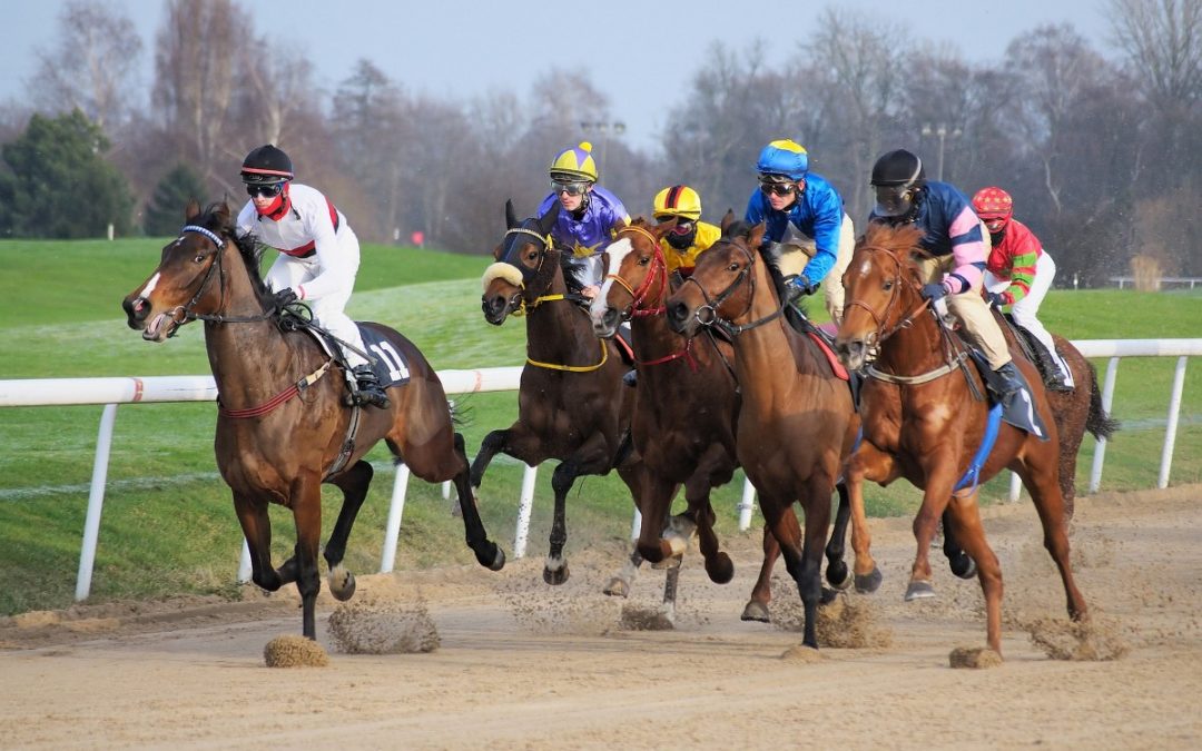 Was sollte man bei Wettboni für Sportwetten beachten?