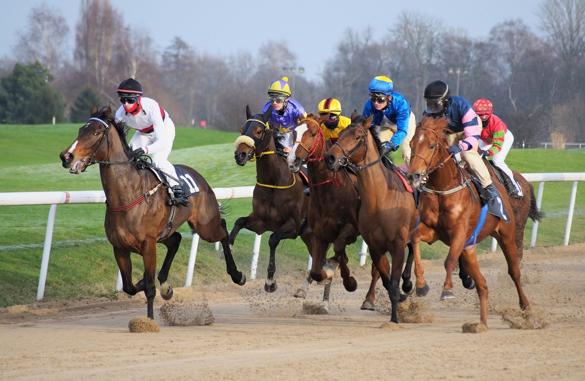 Was sollte man bei Wettboni für Sportwetten beachten?