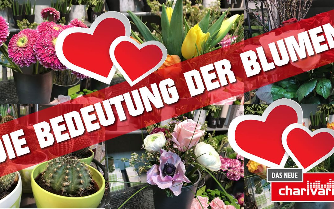 Charivari erklärt: Die Bedeutung der Blumen!