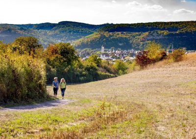 Wanderung am Saupurzel ©Stadt Karlstadt