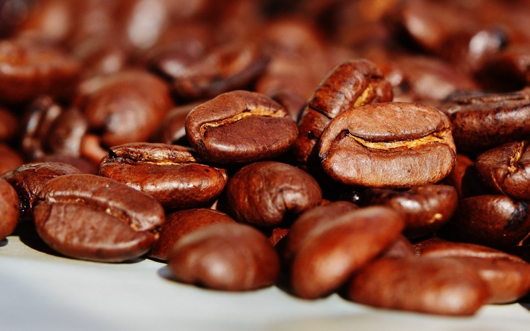 Warum wird Bio-Kaffee immer beliebter?