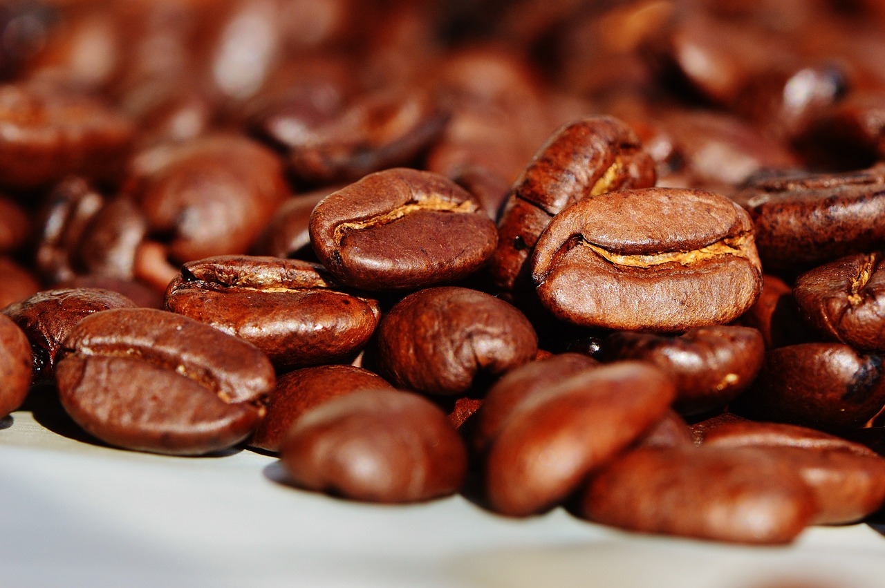 Warum wird Bio-Kaffee immer beliebter?