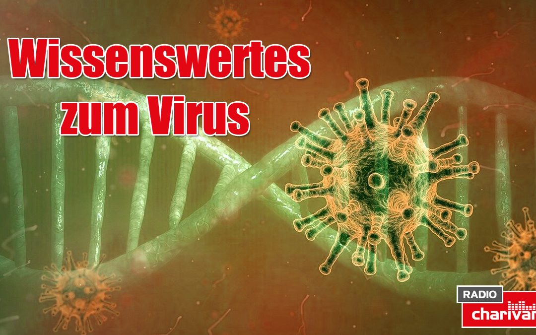 Wissenswertes zum Virus